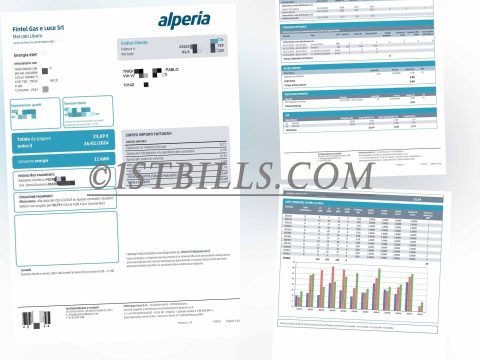 意大利Alperia电费账单 意大利地址证明 Electricity costs in Italy Bill