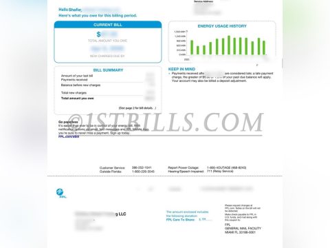 美国公司地址证明 怀俄明州水电费账单 FPL 电费账单 Proof of address for a US company; Wyoming utility bills (FPL); electricity bills