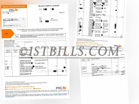 法国 ING银行账单 地址证明 France ING Bank Statement PDF