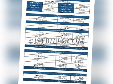收入来源证明 6个月收入证明 China基本工资单 带公司名字 中/英文拼音名 Payslip Salary（收入证明）1
