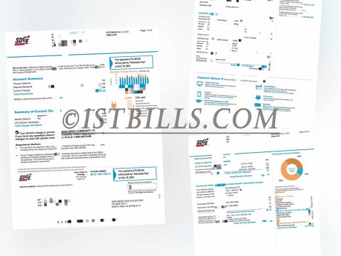 美国公司地址证明 加州电费账单 US SDGE Electricity bill（地址证明）