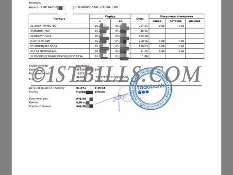 乌克兰地址证明 Ukraine Todo Bank Utility Statement 乌克兰水电物业银行账单PDF