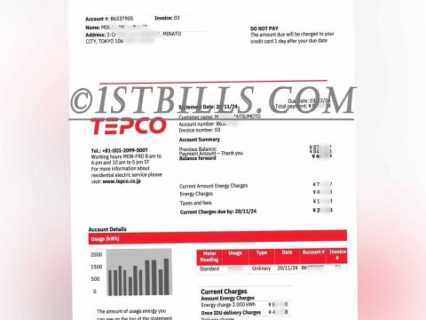 日本地址证明 东京电力公司 电费账单 Proof of Japanese address Tokyo Electric Power Company electricity bill