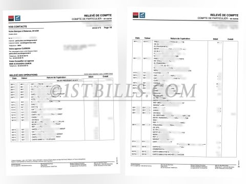 法国兴业银行 BFM 银行账单  地址证明 法国兴业银行 BFM 银行账单 地址证明 Société Générale (BFM) bank statement address proof