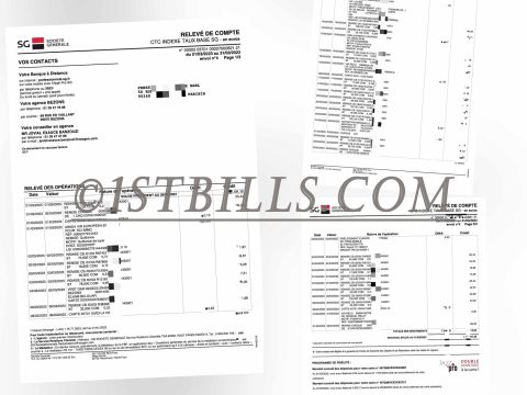 法国北方信贷银行账单 地址证明 France Sg Credit Du Nord Bank Statement PDF