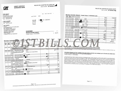 法国农业信贷银行账单 地址证明 France Credit Agricole Bank Statement PDF