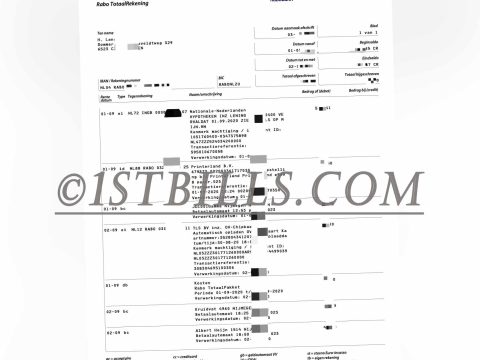 荷兰Robo银行账单 欧盟地址证明 Netherland RoboBank Statement PDF