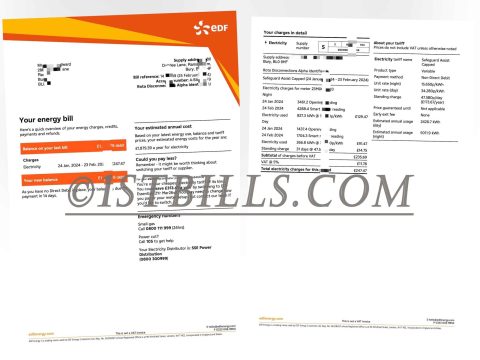 英国地址证明 EDF电费账单 UK EDF Electricity Utility Bill Proof of Address PDF