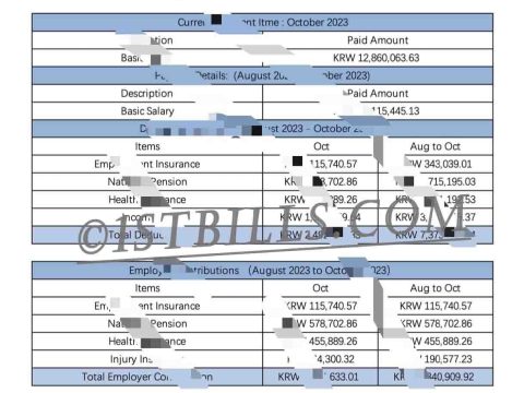 收入来源证明 韩国工资单 熊猫速汇 Pandaremit Wise Korea Payslip 收入证明 Payslip Salary 带公司名字 中/英文拼音名（韩国收入证明）