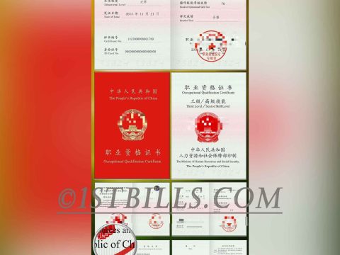 心理咨询师职业资格证书PSD模版 China Psychological Counselor Certificate PS/PSD