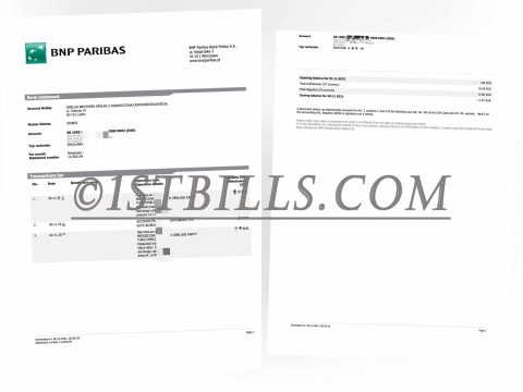 法国 巴黎银行账单 地址证明 France BNP Paribas Bank Statement PDF