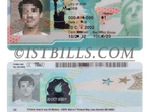 美国绿卡/永居卡PSD模板(V2) USA Green Card Template(Permanent Resident)PSD