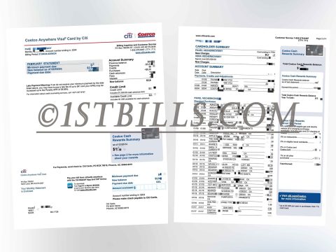 加拿大 花旗银行信用卡账单 地址证明 Canada Citibank credit card statement Proof of address