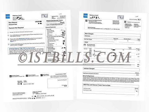 美国运通白金信用卡账单 地址证明 American Express Platinum Credit Card Statement Proof of Address