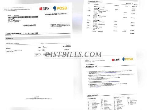 新加坡星展银行 DBS POSB Bank带工资流水账单 Singapore DBS POSB Bank with salary statement