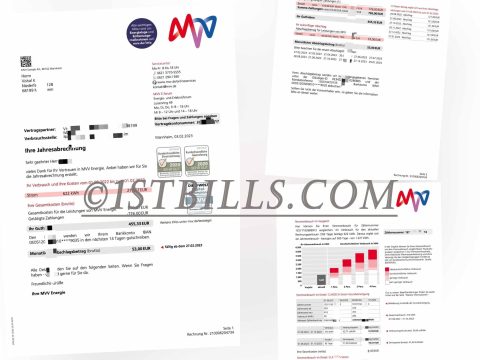 德国地址证明 德国MVV电费账单 Germany MVV Electricity Utility Bill
