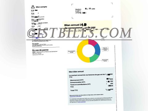 法国地址证明 Vattenfall 燃气费账单 法语 France Vattenfall Gas Bill Proof of Address PDF