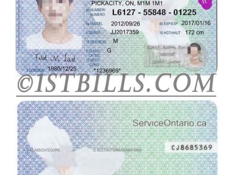 北美| 安大略省驾照/驾驶证 Canada Ontario DL PSD/Photoshop/PS模板