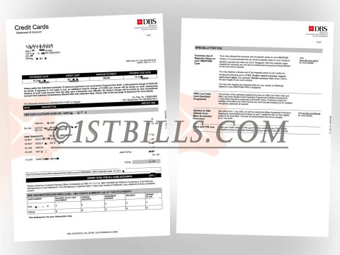 东南亚｜新加坡地址证明 DBS星展银行信用卡账单 Singapore address proof DBS Credit card statement