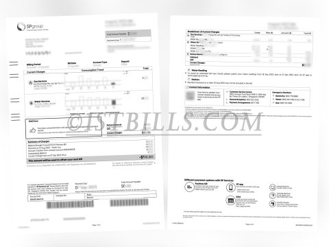 新加坡 水电费账单  SPgroup 燃气水费账单 地址证明 Singapore utility bills (water and electricity), SPgroup gas and water bills, proof of address