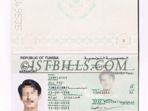 非洲|北非| 突尼斯护照 Tunisia Passport PS/Photoshop/PSD模板