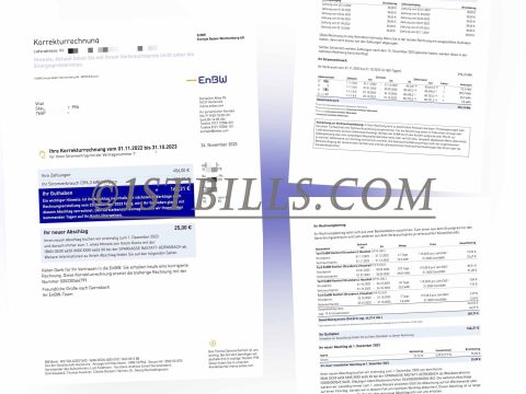 德国水电账单 德国enbw电费账单地址证明 Germany ENBW Electricity Utility Bill
