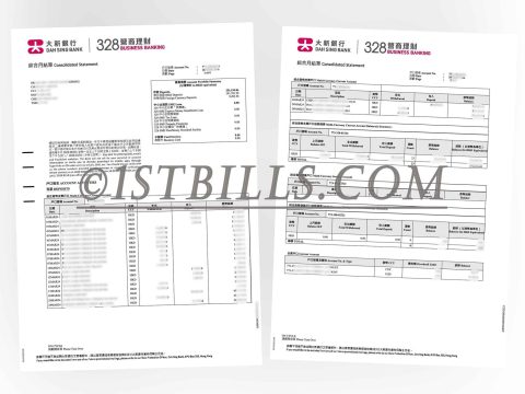 香港大新银行 营商理财账单 公司地址证明 收入 资产证明 Hong Kong Dah Sing Bank Business Banking Statement Company Address Proof Income Asset Proof