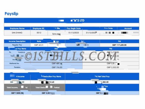 UK Payslip 英国工资单 收入来源证明 时薪工资单 收入证明 熊猫速汇 Pandaremit Wise Payslip Salary 带公司名字 英文名（收入证明）