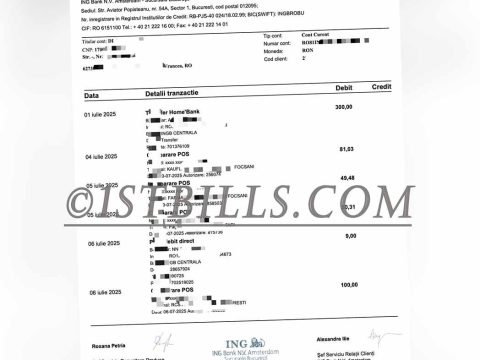 罗马尼亚ING银行账单地址证明 Proof of address from ING Bank statement in Romania