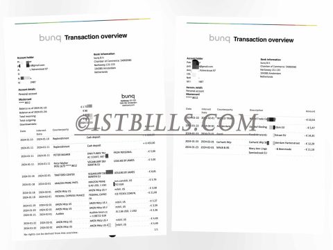 欧盟地址证明 欧洲bunq银行账单 bunq Bank Statement PDF