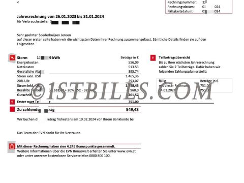 奥地利地址证明 电费账单 EVN Electricity Utility Bill