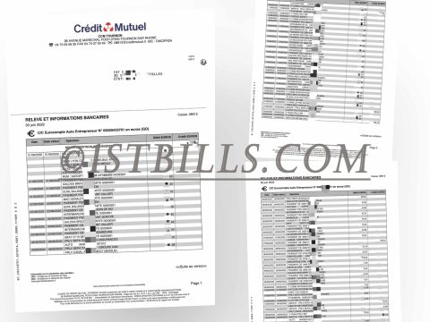 法国 国民互助信贷银行账单 地址证明 France CreditMutuel Bank Statement PDF