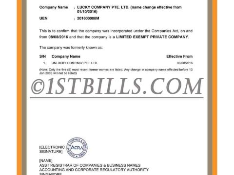 新加坡企业营业执照pdf模板 Singapore Company Certificate pdf