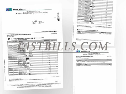 法国工商信贷银行账单 地址证明 France CIC Bank Headquarters Bank Statement PDF