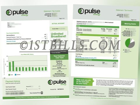 新西兰 Pulse Energy 水电账单 地址证明 New Zealand Pulse Energy electricity bill (address proof)