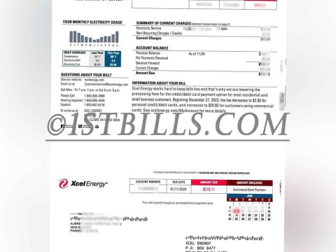 美国地址证明 科罗拉多州 Xcel energy电费账单 Proof of U.S. Address Colorado Xcel Energy Electricity Bill
