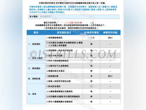 台湾征信报告 台湾当事人综合信用报告 Taiwan Credit Report; Comprehensive Credit Report of the Parties Involved in Taiwan