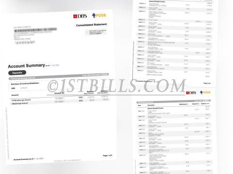 新加坡星展银行 DBS POSB Bank带工资流水账单 Singapore DBS POSB Bank with salary statement