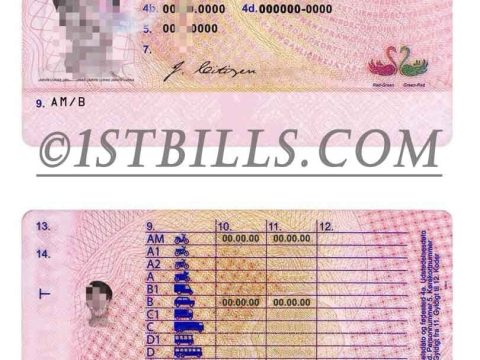 欧盟| 丹麦驾照/驾驶证PSD模板 Denmark Driving Licence PSD