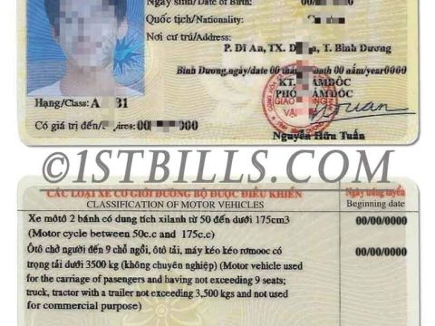 东南亚| Vietnam Driving Licence越南驾照/驾驶证PSD模板 (V2)