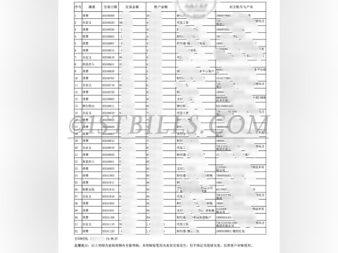 中国建设银行个人账户 工资流水定制 薪水对账单 China Construction Bank Personal Account Salary Transaction Statement (Customized)