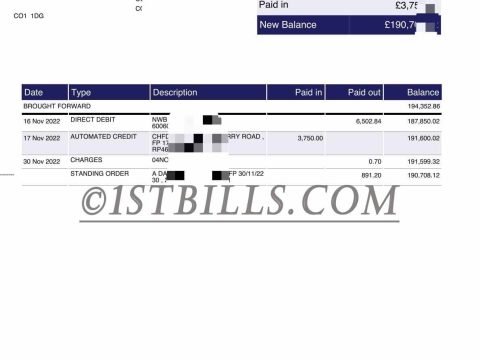 英国公司流水账单 国民西敏寺银行结单证明 NatWest Bank UK company registration