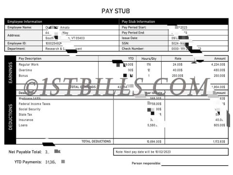 美国收入证明 工资单 收入来源 U.S. income certificate pay slip income source