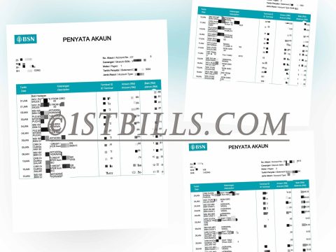 马来西亚BSN银行账单 工资流水 Malaysia BSN Salary Statement