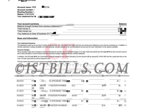 美国社区联邦银行账单 地址证明 American Community Federal Bank Statement Proof of Address