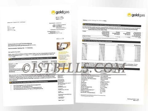 德国 地址证明 GoldGas 燃气账单 Germany Proof of address GoldGas gas bill